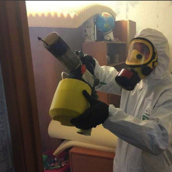 Уничтожение клопов в квартире. Выкса